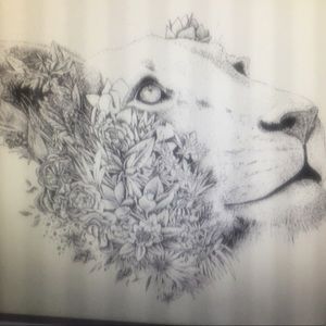 Meet your Posher, Darian